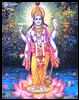 krishna: lord of universe